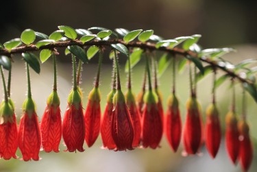 惠州惠阳区私人快速借钱网，轻松解决资金难题