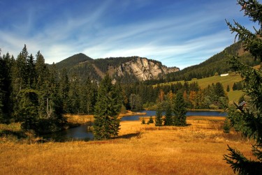 惠州惠阳区民间私贷攻略：揭秘低成本借贷的秘密