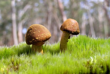 惠州惠阳区私人老板放款：轻松融资的秘密通道